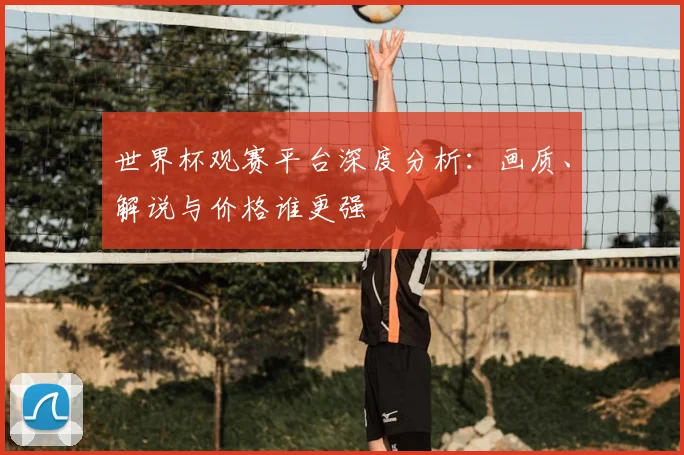 世界杯观赛平台深度分析：画质、解说与价格谁更强