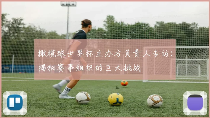 橄榄球世界杯主办方负责人专访:揭秘赛事组织的巨大挑战