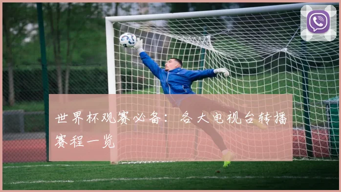 世界杯观赛必备：各大电视台转播赛程一览