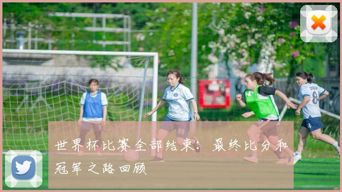 世界杯比赛全部结束：最终比分和冠军之路回顾