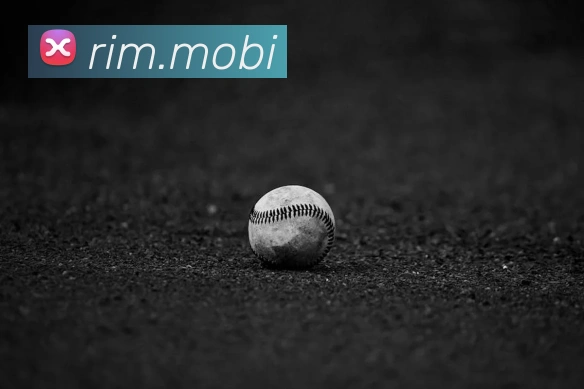 开云账号中心登录入口平台生态图