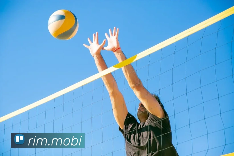 开云账号中心登录入口APP 封面图